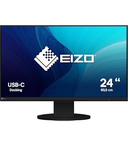EIZO FlexScan EV2485-BK 61,1 cm Monitor schwarz: Amazon.de