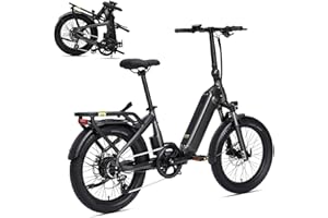 ‎DERUIZ DERUIZ E Bike Elektrofahrrad 20" Fat Tire mit Powerful 250W Motor Lithium-Ionen-Akku 500Wh,Max.Reichweite bis zu 150km,Shimano 8-Gang,Ölbremsen, E-Fahrrad klapprad