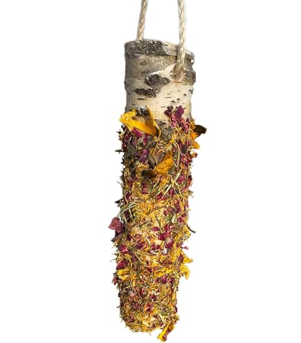 Flying Woody DISCs - 4er Set Knabberholz Für Pferde Mit Kräutergeschmack