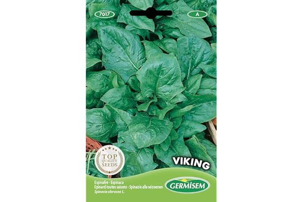 Germisem graines Epinard toutes saisons VIKING