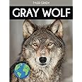 Gray Wolf: Fascinating Animal Facts for Kids (This Incredible Planet)