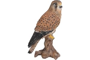 Vivid Arts Xrl-kest-d Kestrel Standing On Tree Trunk Ornament