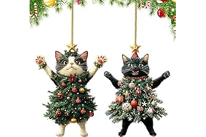 QYLAZUNE 2 Pcs Cat Gifts for Women Christmas Decorations Personalization Acrylic Sign Fun Cute Cat Ornaments Xmas Tree Decor for Love Pets Birthday Fairy Gift for Desk, Home Accessories Decorations