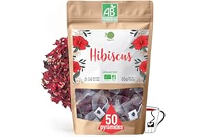 ORIGEENS HIBISCUS BIO - 50 sachets de thé | Fleur Hibiscus pour Bissap, Thé glacé, Infusion et Tisane | Infusion Detox Drainante | Fleurs d'Hibiscus Séchées Bio