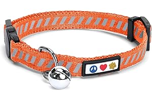 Pawtitas Collare per Gatti che Riflette il Traffico con Fibbia di Sicurezza e Campanellino Rimovibile Collare per Gatti Collare per Gattini Arancia Collare per Gatti