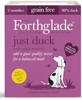 sainsburys forthglade