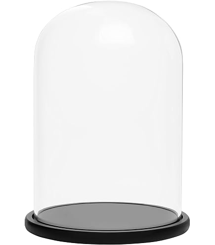 Cloche En Verre Transparent EMH 30x25 Cm Avec Base En Bois Noir - Dôme De Protection Pour Décorations Ou Gâteaux