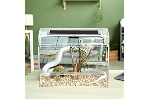 QWORK® Scatola per rettili, reptile growth pc terrario, 30 * 18 * 22cm per una varietà di rettili e insetti