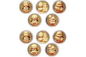 TPZORJX Moneta commemorativa dell'anno del serpente, 10 monete dell'anno del serpente 2025, moneta di Capodanno, moneta souvenir delicata, piccola moneta da collezione, adatta per regali