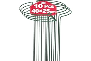 TOYPOPOR Lot de 10 Tuteur pour Plante 25cm x 40cm,Supports de Jardin en Métal, Anneau de Support de Plantes de Jardin Vert pour Hortensias Sédum Légumes Tomate