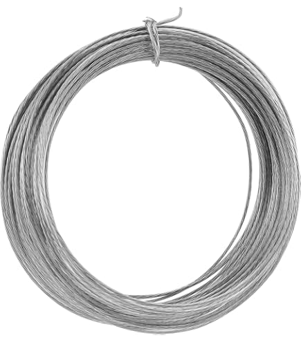 60 Stuks D-ring Ophangogen - Roestvrij Staal | Voor Fotolijsten, Decoratie En Tassen | Met Spijkers