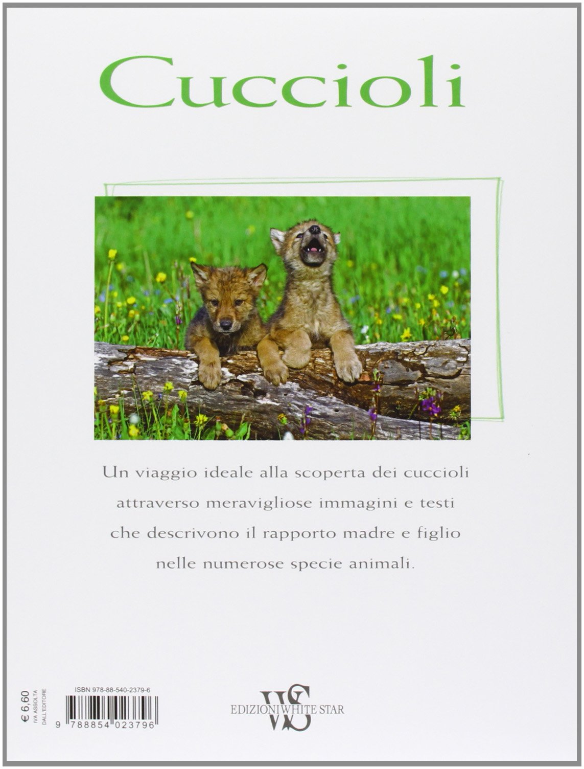 Cuccioli. Ediz. illustrata