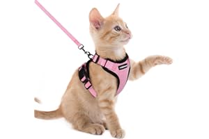 rabbitgoo Arnes para Gatos Antiescape con Correa 150cm, Arnes Gato Ajustable Reflectante, Chaleco de Tela de Malla Suave y Transpirable, Arnés Gato Pequeño para Caminar Entrenar, XXS, Rosado