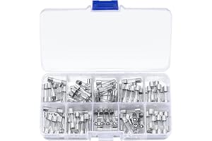 woshilaoDS Lot de 100 fusibles en verre - 5 x 20 mm - Fusibles en verre à fusion rapide - 0,5 A/1 A/2 A/3 A/4 A/5 A/6 A/8 A/15 A/20 A Amp