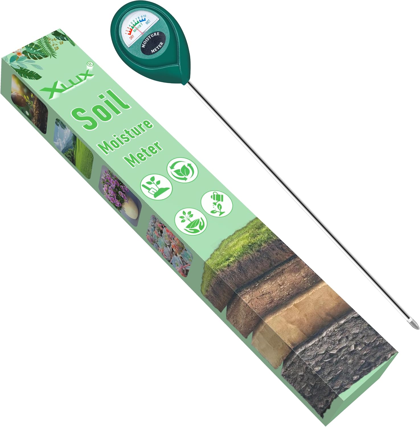 Vue 10