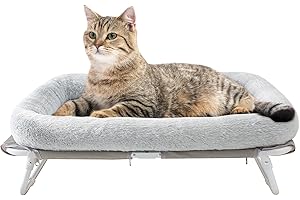 GUUSII HOME Amaca Per Gatti Lettino Gatto Elevato Cuccia Rialzata per Gatti e Cani di Piccola Taglia Animali Pavimento Amaca Gatto Sdraio per Interni Esterni Divanetto Patti 64X40X19cm(Grigio)