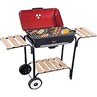 Bistecchiera elettrica berbecue con stand ruote DCG BQS2498 griglia 2300W Rotex