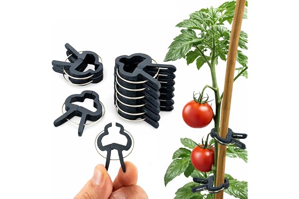 ECENCE 60 Clips pour Plantes (4cm) - Attache Tomate, Attache Plante, Clips Tomates Réutilisables, Support Grimpantes, Fixation Facile au Jardin