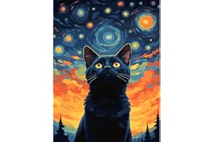 Modojuny pintura por números para adultos y niños, Paint by Numbers Kit con pigmento acrílico y pinceles, regalo y decoración de pared, gato negro de 30 x 40 CM (sin marco) – más de 9 años