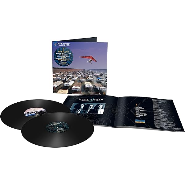 The Later Years: 1987-2019: Amazon.co.uk: CDs & Vinyl