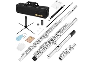 Vangoa Closed Hole C Flauta niquelada con estuche rígido, soporte, varillas de limpieza, guantes y kit de limpieza