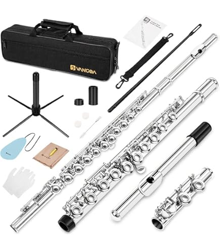 Eastar Flûtes C à Trou Fermé 16 Touches Pour Débutants, Enfants