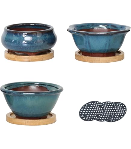 Assiette Ovale Bonsau00ef Bol Avec Sous Assiette Taille 5 - Bleu