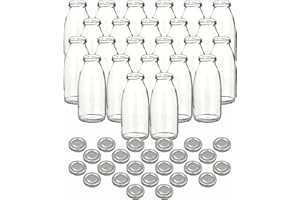 gouveo Juego de 24 botellas de zumo de 250 ml con tapón de rosca plateado - Botella de cristal de 0,25 l con tapón TO43 - Botella vacía para zumo, batido, limonada (SF250S)
