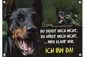 PETSIGNS Hundeschild Dobermann Pinscher - stabiles Schild aus 1,5 mm Metallplatte - bis DIN A3 bestallbar, DIN A4