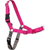 PetSafe Easy Walk No-Pull K&ouml;pek G&ouml;ğ&uuml;s Tasması, &Ccedil;ekmeyi &Ouml;nlemeye Yardımcı, Kontrol&uuml; Ele Alın ve Tasmayla Daha İyi Y&uuml;r&uuml;meyi &Ouml;ğr