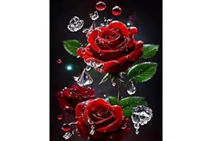 TISHIRON Paint by Numbers for Adults Beginner Flaming Red Rose Painting DIY Oil Painting Kit with Paintbrushes Acrylic Pigment for Home Wall Decor Lovers Gift 16 "x20