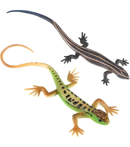 Wild Republic Lot De 12 Figurines Tortues - Espèces Variées, Réalistes Et éducatives - Cadeau Idéal Pour Enfants Et Collectionneurs