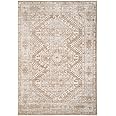 Vintage Warm Neutral Greige Living Room Area Rug Distressed Antique ...