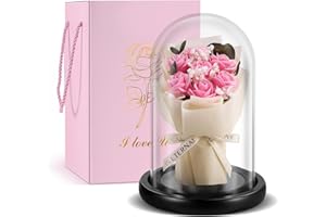TangDouJM Glass Dome Rose Bouquet, Ladies Eternal Rose Gift, Birthday Valentine's Day Mother's Day Christmas Home Decoration Creative Gift (Pink)