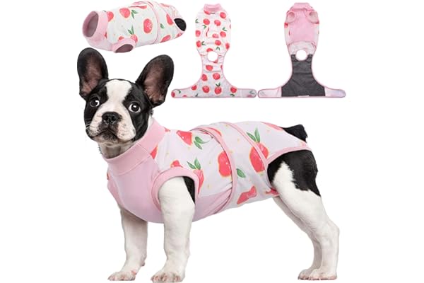Kuoser Traje de Recuperación para Perros y Gatos Después de la Cirugía, Camisa de Recuperación Profesional para Mascotas, Vendajes para Heridas Abdominales de Perros, E-Collar & Cono Sustitutos