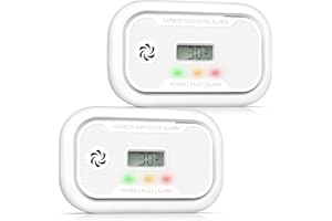 Putogesafe Carbon Monoxide Detector with LCD Display, 10-Year CO Detector with Replaceable 3-Year Battery, Portable CO Alarm with Peak Memory for RV/Ship/Room, EN50291 Certified, Pack of 2