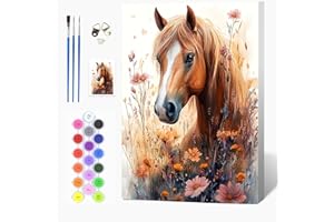 Auremi Kit Cheval peinture par numéros avec cadre bois–Animaux Peinture par numéros 20x30 cm pour adulte débutant–Idée cadeau originale relaxante–Activité manuelle créative et décorative