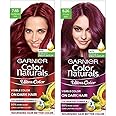 Garnier Color Naturals Creme Riche Hair Color, 765 Raspberry Red, 55ml + 50g and Garnier Color Naturals Creme Riche Hair Color, Plum Red, 55ml + 50g