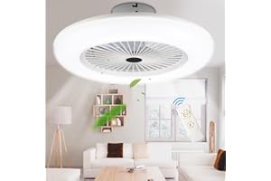 Hebitod Ventilador de Techo LED con Luz y Mando a Distancia, 80W 2x, Ø55cm, Regulable, 3 Velocidades de Viento, Temperatura de Color Ajustable, Temporizador, Para Sala de Estar Dormitorio