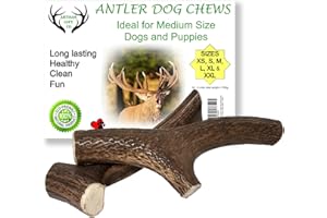 ARTISAN GIFT CO Naturally Shed 100% Natural Premium Deer Antler Chew for Dogs - minimum pack weight 150g (M - 2 Units)