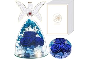 REWJURY Vera Rosa Eterna in Angel Regalo Mamma, Donna Regalo Compleanno, Conservato Rosa Stabilizzata Fiore Cupola Angel, San Valentino Anniversario Regalo Compleanno per Mamma Moglie Madre Fidanzata Nonna