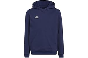 adidas Entrada 22 Sweat Hoodie Hooded Sweat Mixte Enfant (Lot de 1)