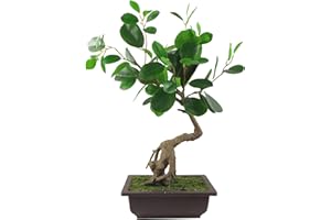 Leaf Pequeño árbol de bonsái Artificial