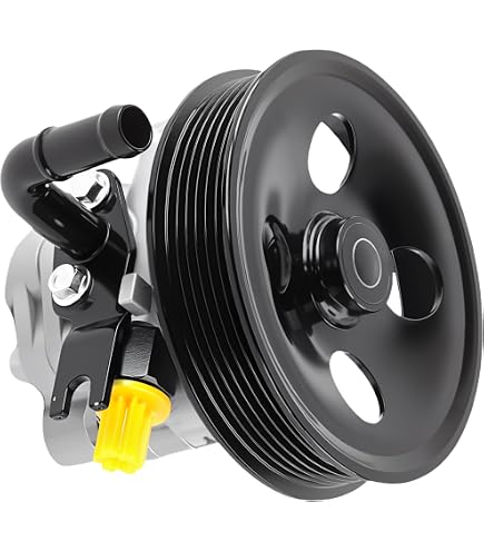 Power Steering Pump With Pulley For 2006-2010 Kia Sedona & 2007-2009 Hyundai Entourage