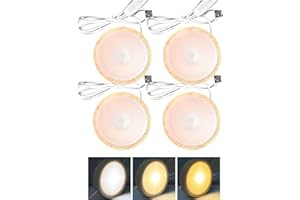 GOMETY 4 Stück Holz LED Lichtsockel Dimmbar, USB Led Leuchtsockel mit Fernbedienung für Acrylglas Warme Farbe Led Holzsockel Ständer Quadrat/Rund LED Leuchten Display Basis für Kristallg Lensball Glas Acryl