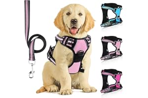 SIBOTER Pettorina Cane Taglia Media/Grande Regolabile, Traspirante Con Guinzaglio, Antifuga per Corsa, Passeggiate, Jogging (S, Rosa Baby)