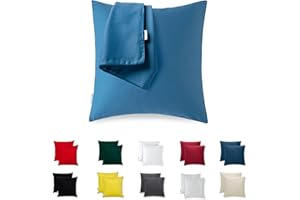 FLOWEN Taie d'oreiller 65x65 Microfibre Premium Lot de 2 Housse Coussin pour Coussins Canapé/Lit Tissu Super Doux Resistant et Lavable Hypoallergénique Anti-Acariens avec Fermeture éclair Invisible