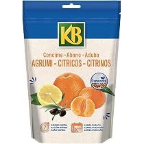 KB Piante Verdi liquido 1 L - Fuori di verde - ItalAgro