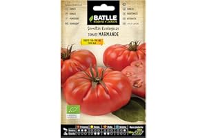 SEMILLAS BATLLE Semillas Ecológicas - Tomate Marmande Raf (85 Seeds - Bio), Vert