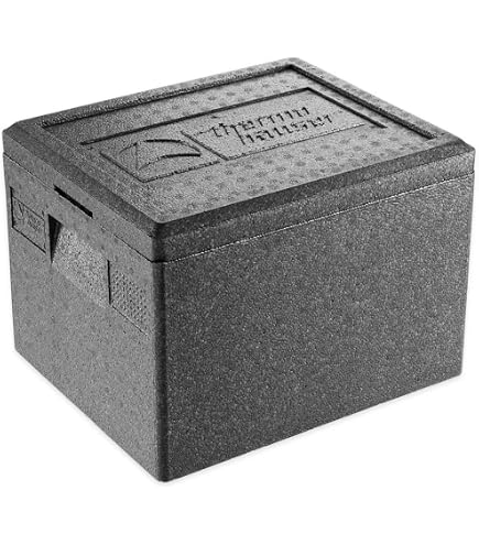 thermohauser Boîte isotherme en polypropylène expansé GN 1/1 Gastrostar avec couvercle - Volume : 21,5 l - 60 x 40 x 18 cm - Lot de 5 cartes à insérer - Noir thermohauser Boîte isotherme en polypropylène expansé GN 1/1 Gastrostar avec couvercle - Volume : 21,5 l - 60 x 40 x 18 cm - Lot de 5 cartes à insérer - Noir